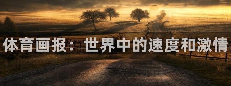 熊猫体育免费下载