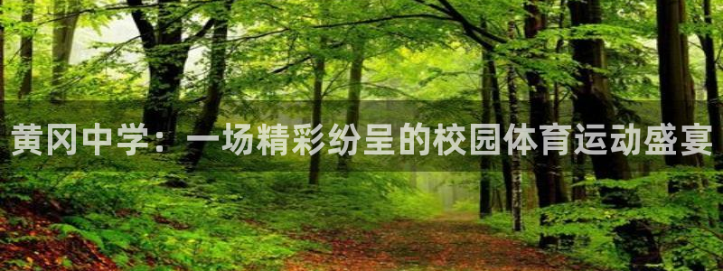 熊猫体育app官网入口