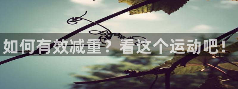 熊猫体育官网首页入口：如何有效减重？看这个运动吧！