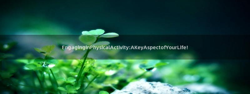 动感熊猫体育公园：EngaginginPhysicalActivity:AKeyAspectofYourLife!