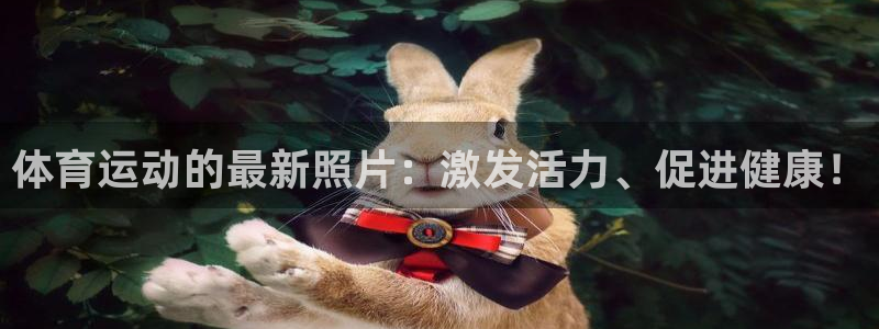 熊猫体育官网首页入口：体育运动的最新照片：激发活力、促进健康！