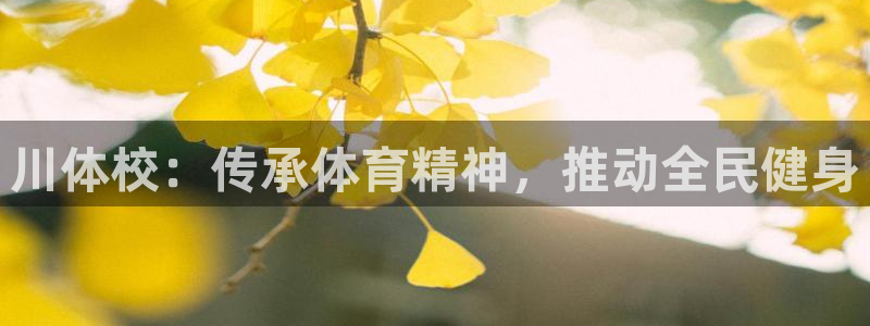 熊猫体育在线观看：川体校：传承体育精神，推动全民健身