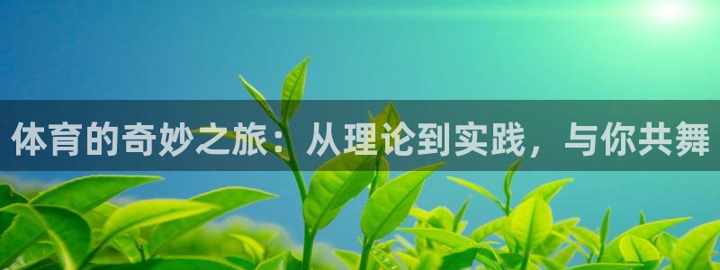 动感熊猫体育公园：体育的奇妙之旅：从理论到实践，与你共舞