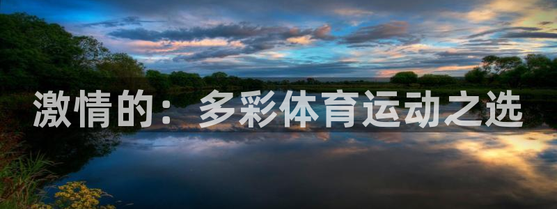 熊猫体育比赛直播：激情的：多彩体育运动之选