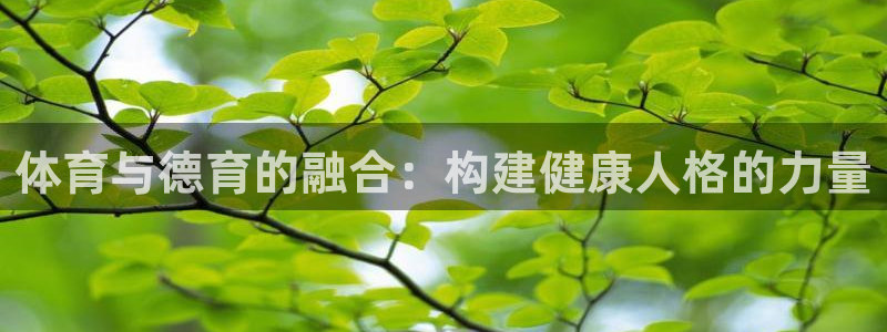 熊猫体育免费下载：体育与德育的融合：构建健康人格的力量