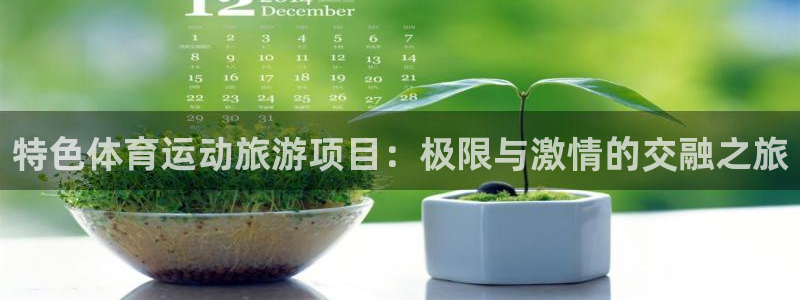 181熊猫体育：特色体育运动旅游项目：极限与激情的交融之旅