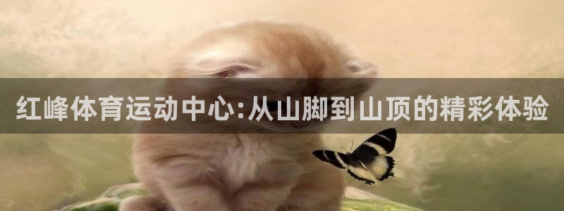 熊猫体育网站