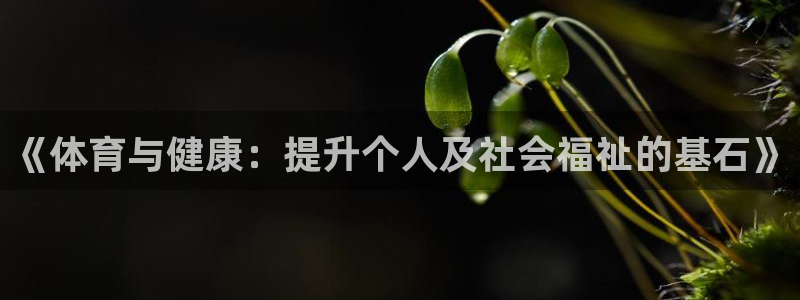 下载熊猫体育