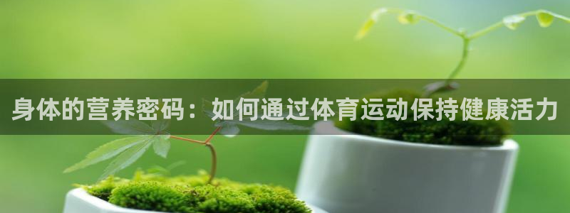 熊猫体育：身体的营养密码：如何通过体育运动保持健康活力